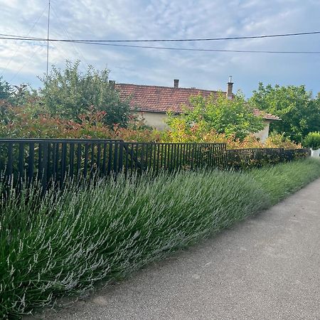 Neon Apartman Csopak Balaton Luaran gambar